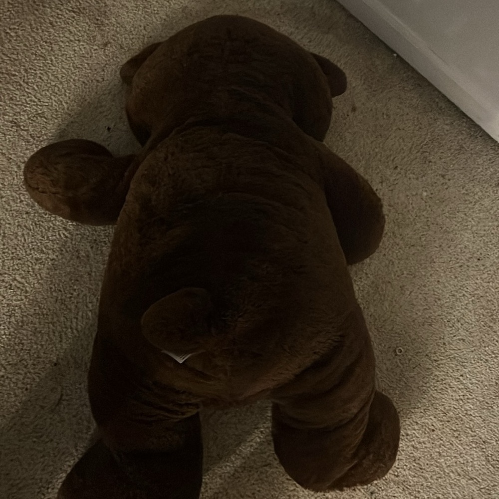 Teddy bear - Picture 2 of 2